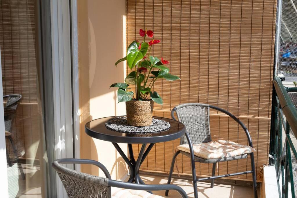 Afrodite'S Cosy And Lovely Apartment Αλεπού Εξωτερικό φωτογραφία